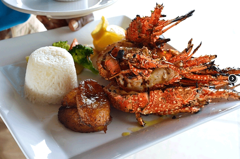 Restaurant Supply Anguilla, Ocean Echo