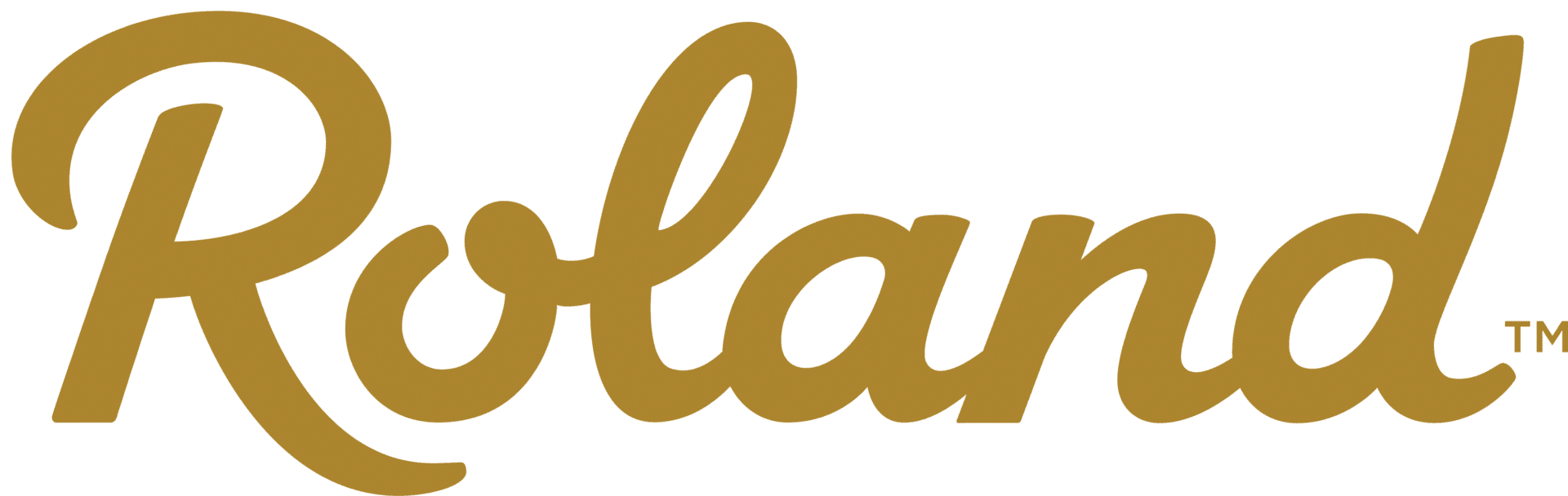 roland logo high quality png
